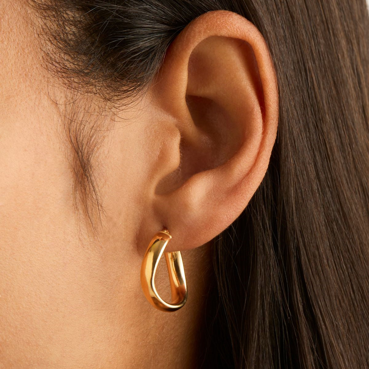 Yellow Gold Eddie Hoop Earrings