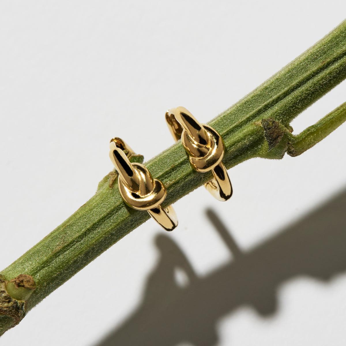 Yellow Gold Nature's Knot Huggie Earrings