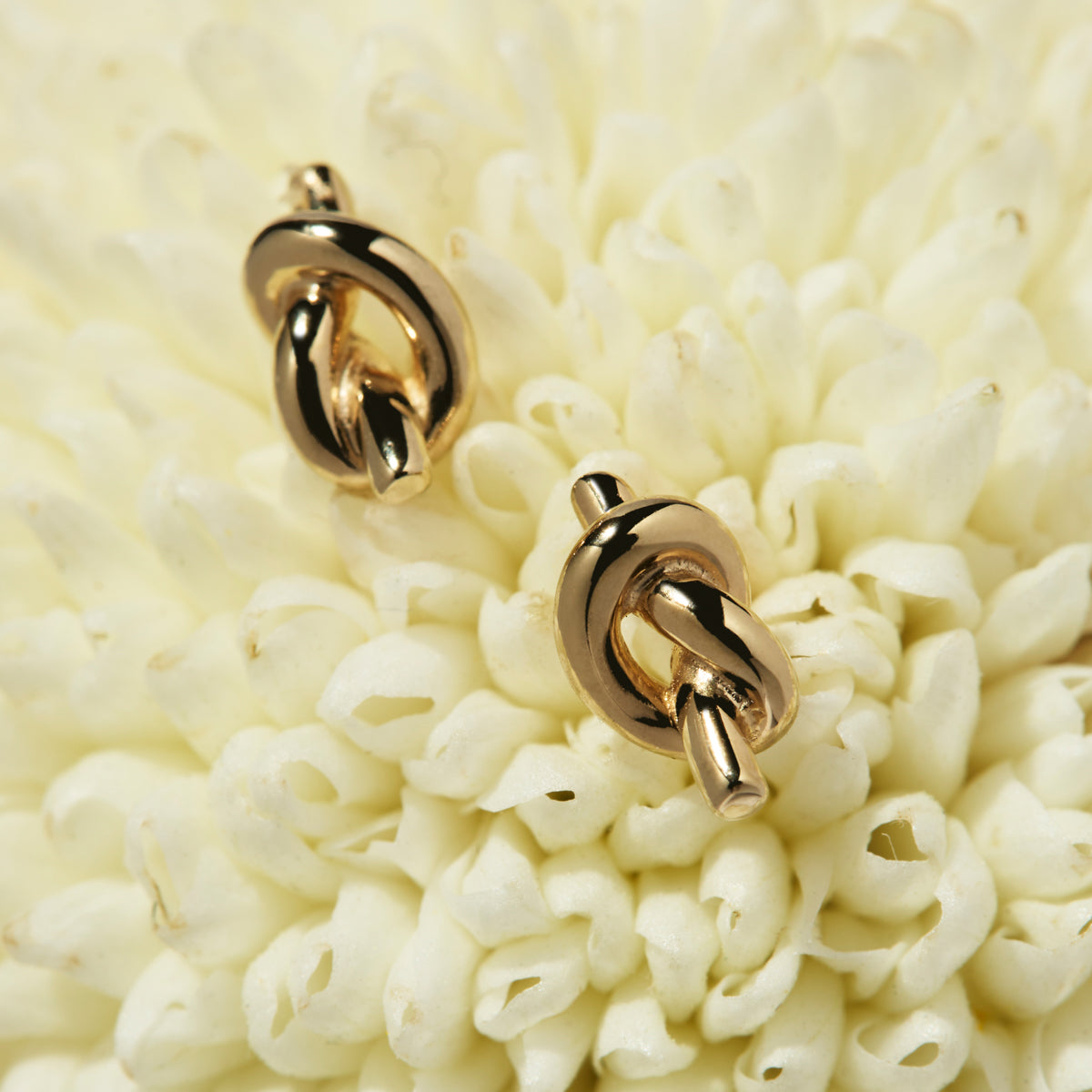 Yellow Gold Nature's Knot Stud Earrings