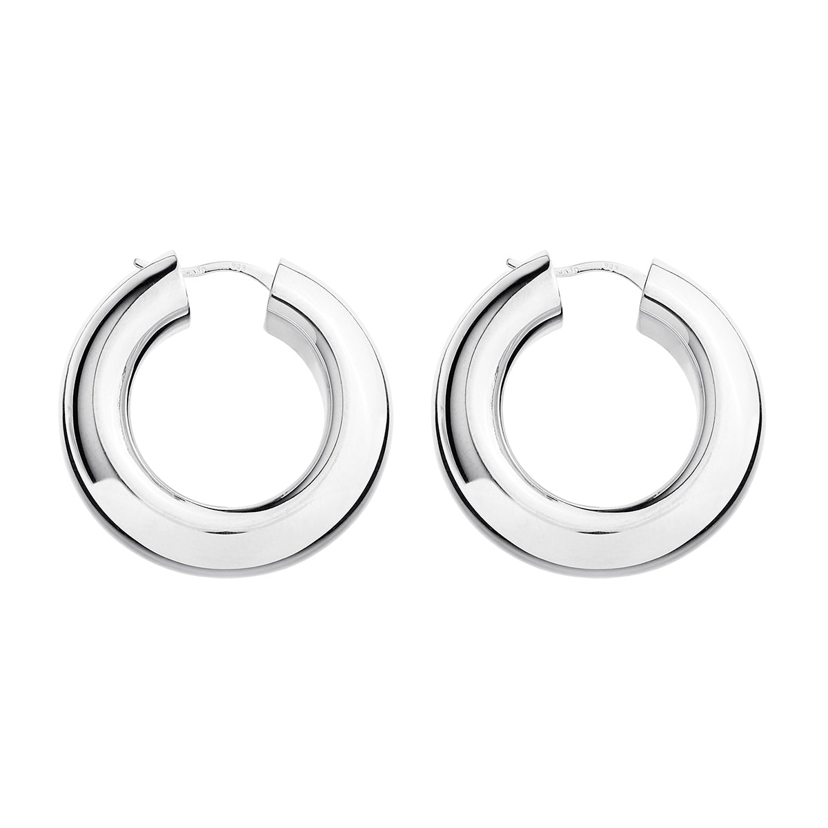 Silver Panorama Hoop Earrings